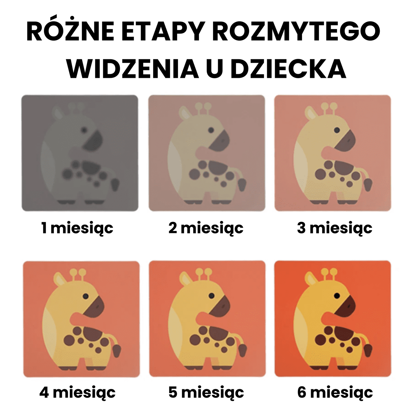 Karty Rozwoju Poznawczego Montessori dla Niemowląt 0-36 miesięcy