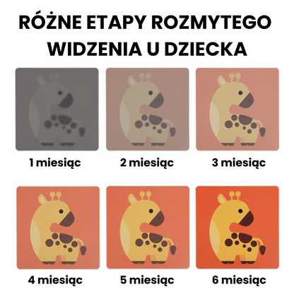 Karty Rozwoju Poznawczego Montessori dla Niemowląt 0-36 miesięcy